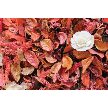 Red Dry Mango Leaves